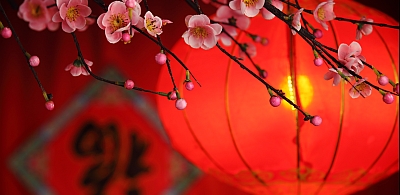 peking